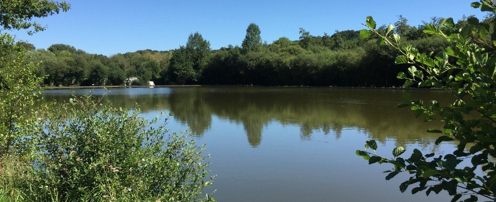 ETANG DE PECHE 1 hectare